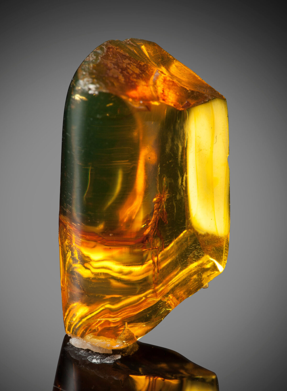 This Perfectly Preserved Praying Mantis Trapped in Fossilized Amber Is