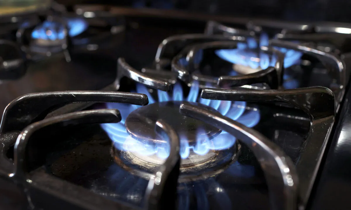 Flames burn on a natural gas-burning stove in Chicago on Jan. 12, 2023. (Scott Olson/Getty Images)