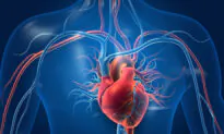 COVID-19 May Increase Risk of Heart Disease–Know the Distress Signals and Tips to Prevent