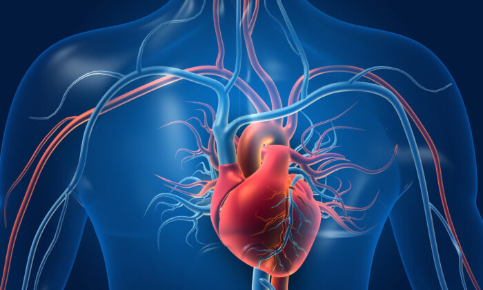 Cardiovascular Disease Increases After COVID-19 Infection, 7 Tips for a Healthy Heart