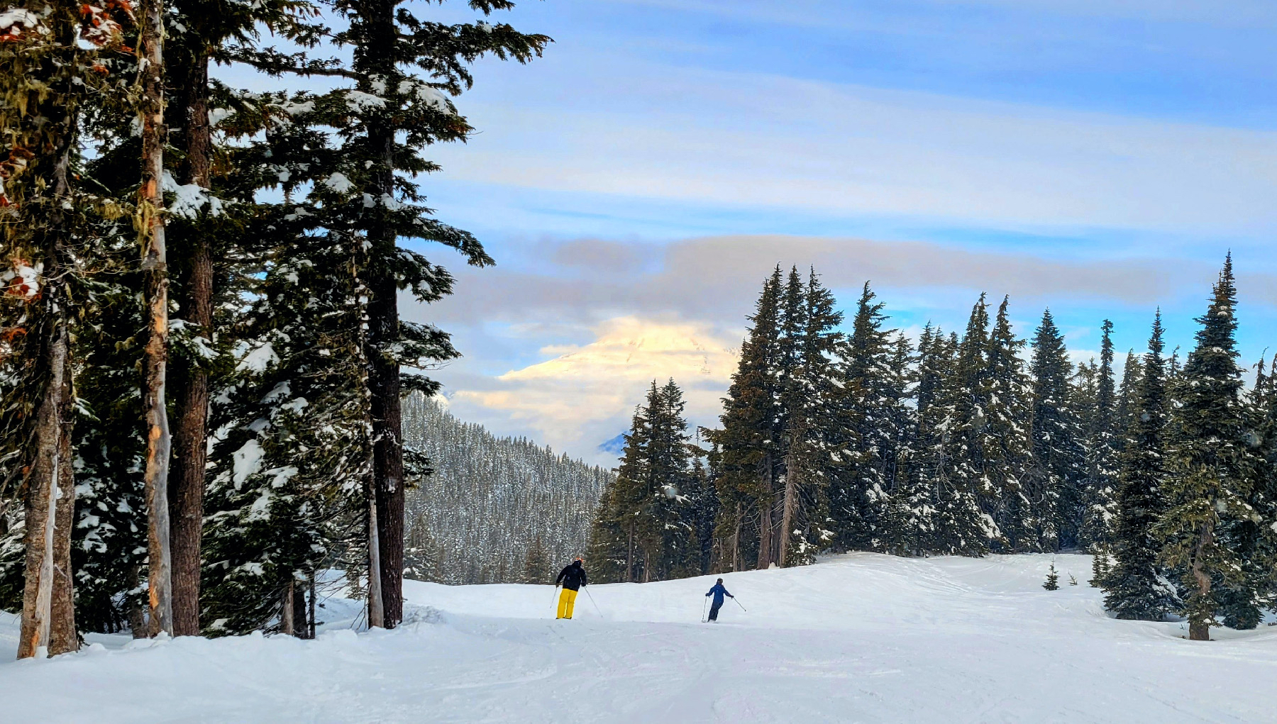 The White Pass Ski Area near Yakima, Washington, offers trails and runs for skiers of every ability level.