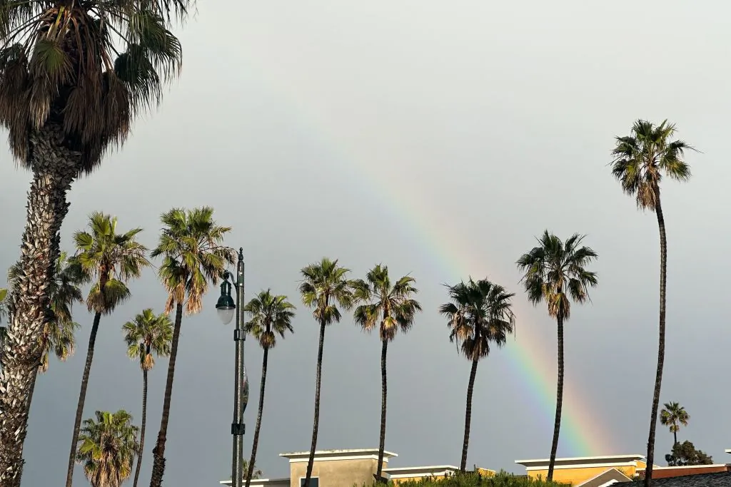 A rainbow appears between palm trees during a winter storm that blanketed the region with rain, snow, and hail in Redondo Beach, Calif., on Feb. 25, 2023. (Patrick T. Fallon/AFP via Getty Images)