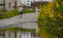 Parts of California Exit Drought After Recent Rain, Snow