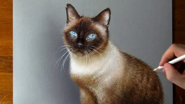 In Loving Memory of Violetta (2010–2022) | Marcello Barenghi