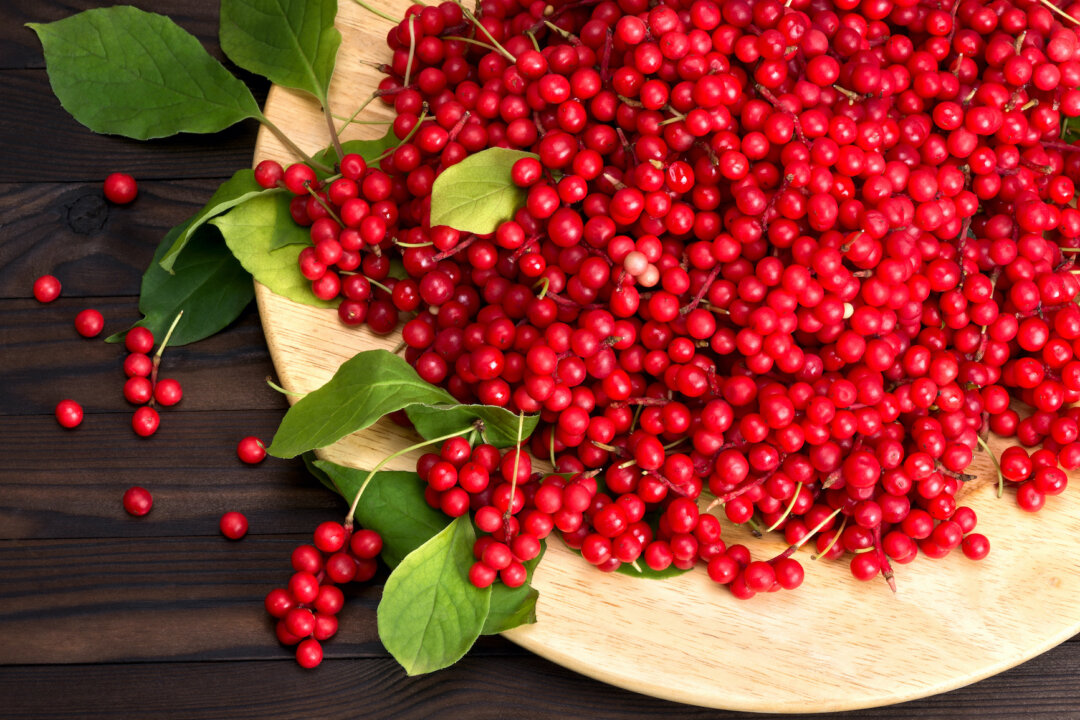 Schisandra, or five flavor berry in Chinese Medicine. (Leonid S. Shtandel/Shutterstock)