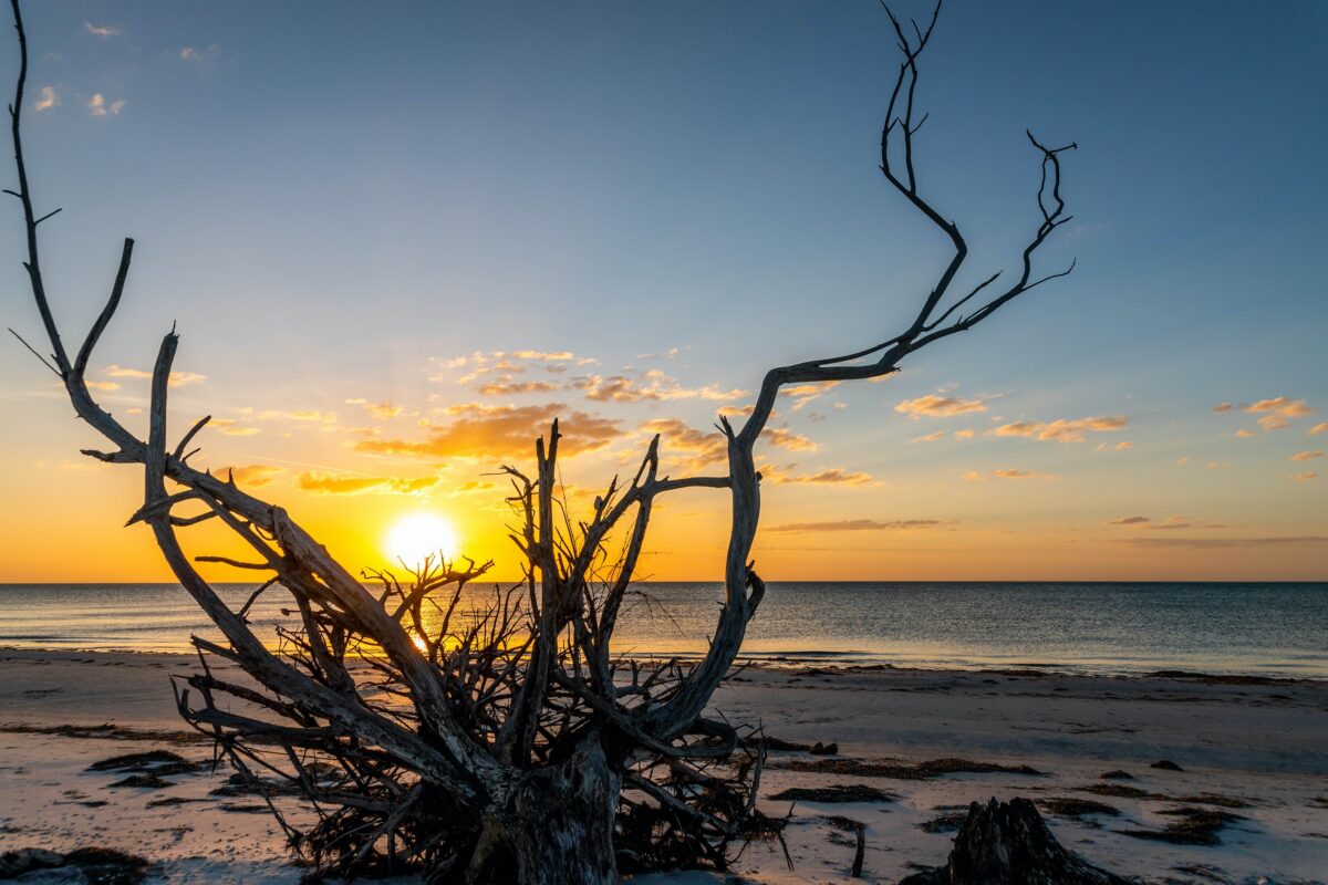 NextImg:Capture the Essence of Old Florida in Pasco County