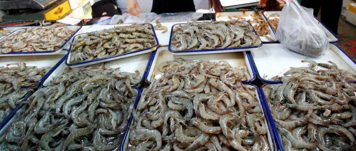 NextImg:Shrimp Sold at Major Stores Recalled Over 'Possible Health Risk'