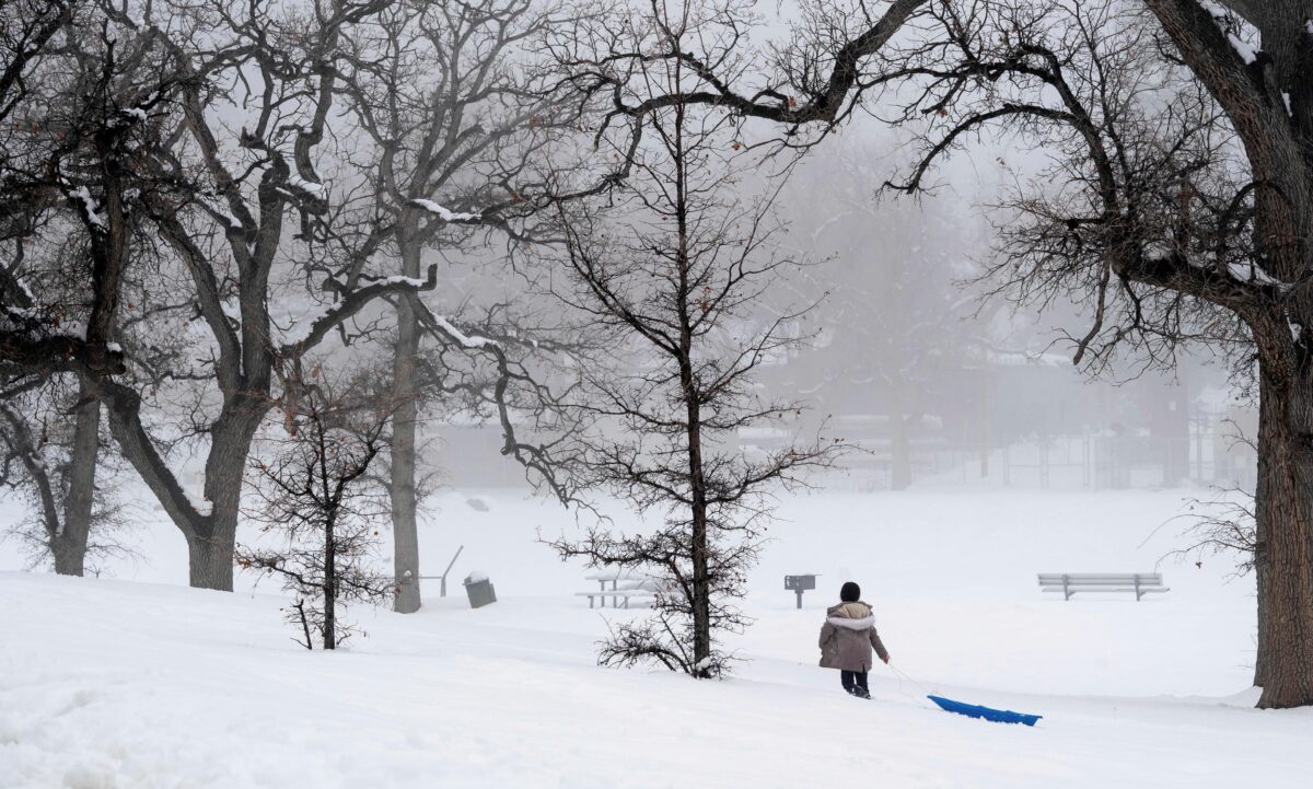 NextImg:While California Wearies of Snowstorms, Northeast Greets One