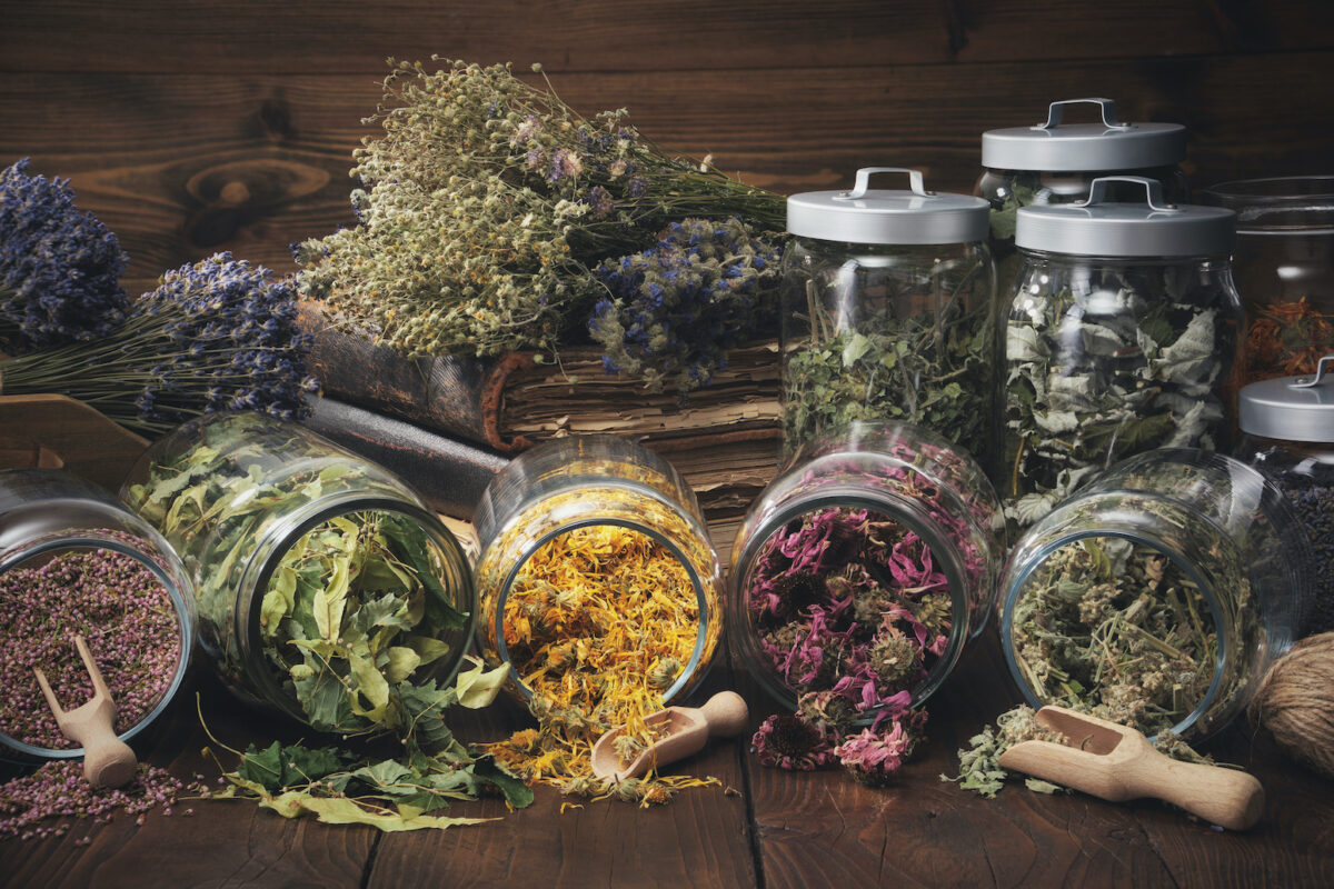 NextImg:10 Herbs and Supplements That Help Boost Memory: Current Studies