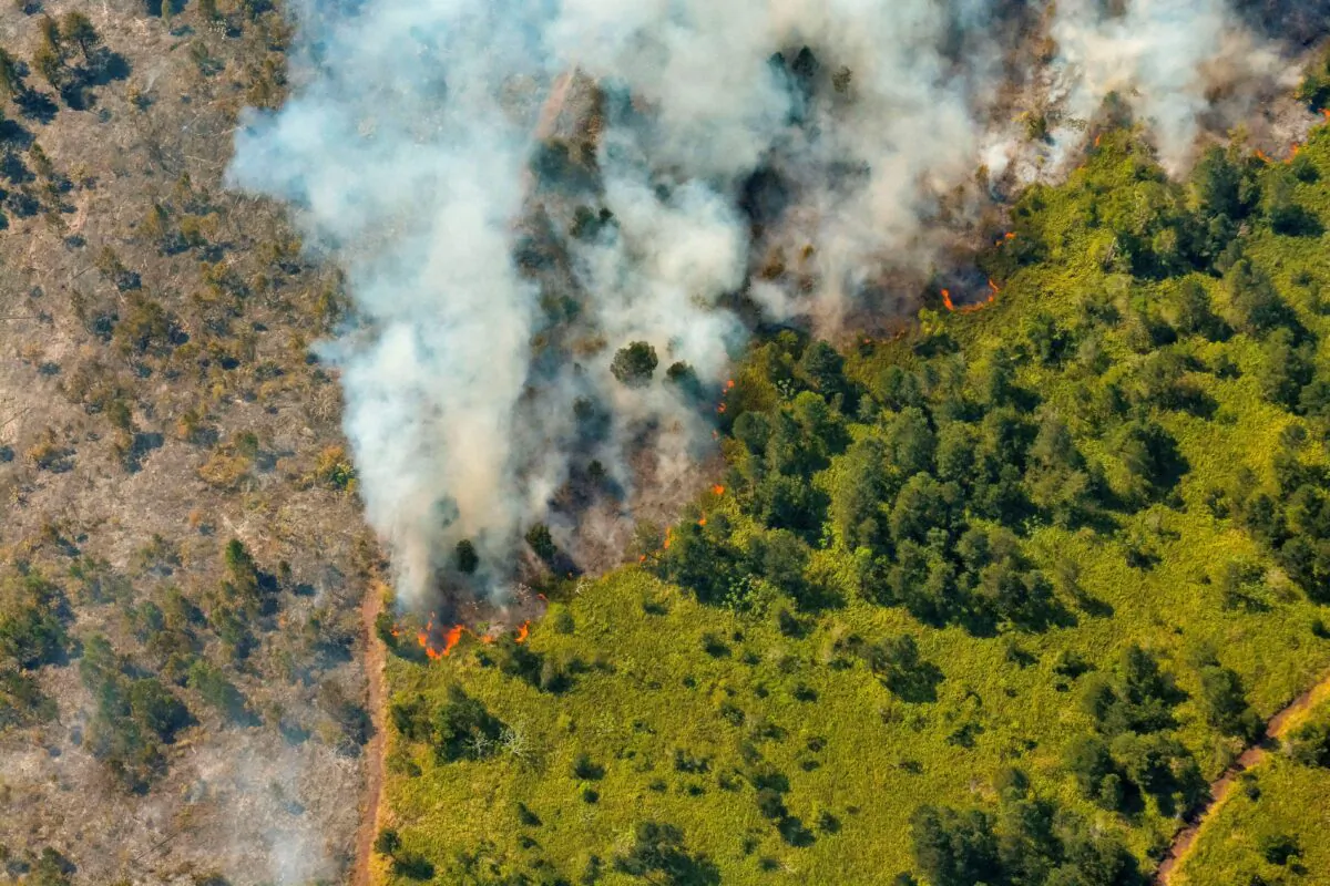 Smoke from burning vegetation rises in Pinares de Mayari, Cuba, on Feb. 23, 2023. (Juan Pablo Carreras/Reuters)