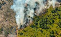 Massive Forest Fires Rage on in Eastern Cuba