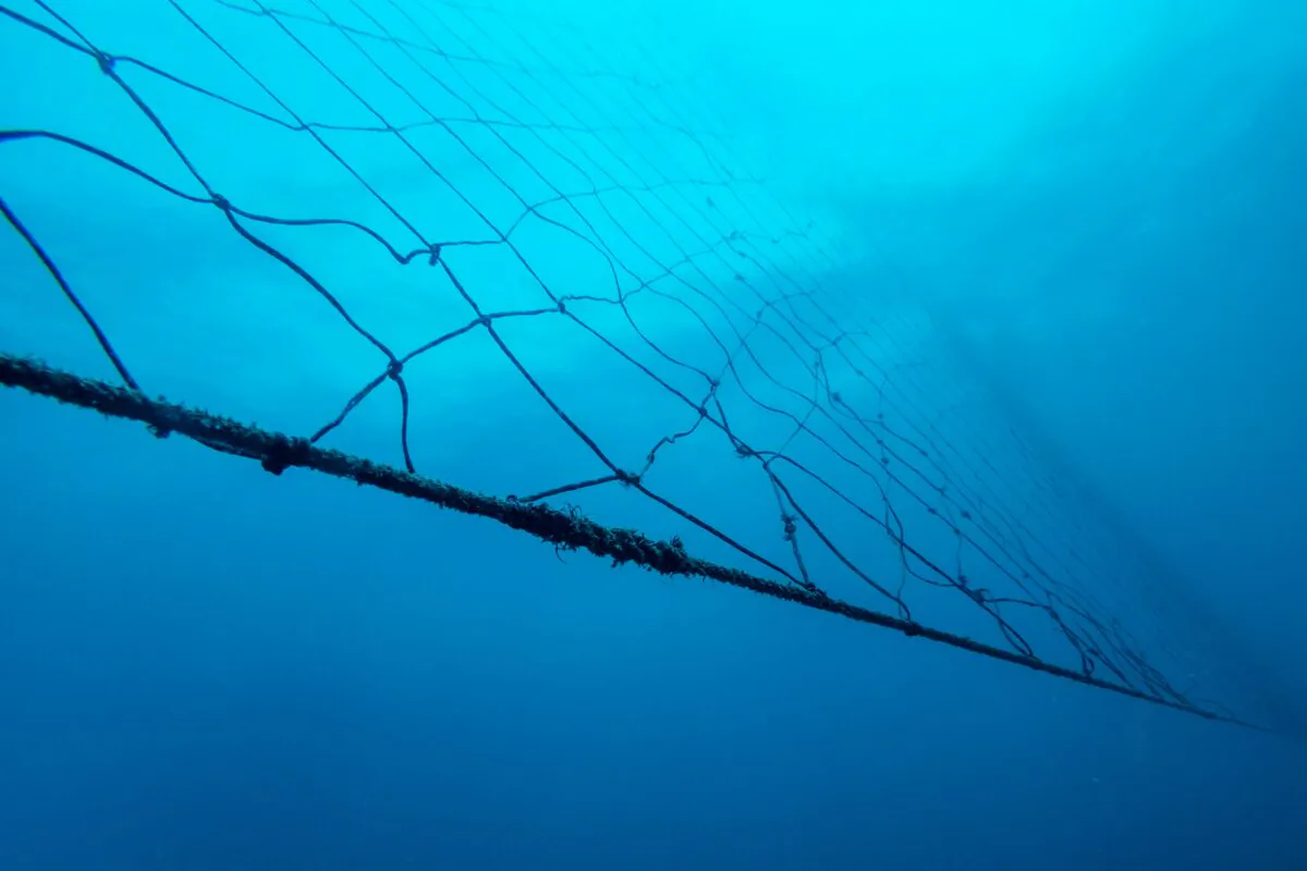 File photo of the shark net. (Michele Spatari/AFP via Getty Images)