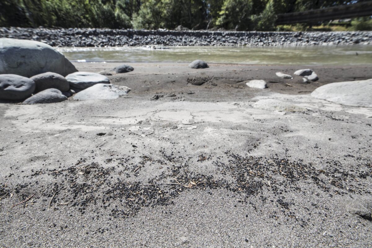 NextImg:Dam Owner Guilty in Field Turf Pollution of Washington River