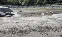 Dam Owner Guilty in Field Turf Pollution of Washington River