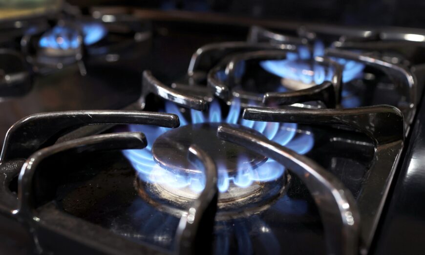 Biden official admits lacking knowledge on electric stove installation.
