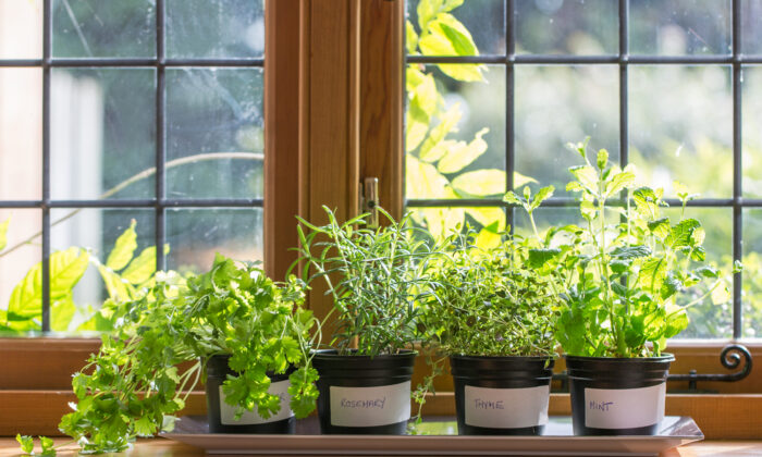 Perfectly Seasoned Living: Herb Gardening 101