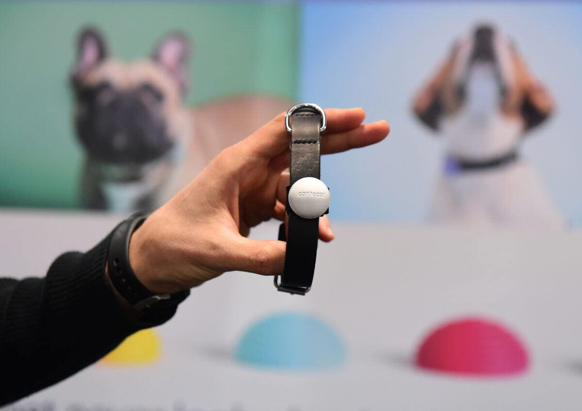 NextImg:Pet Tracking Apps Leaking Information on Users, Study Finds