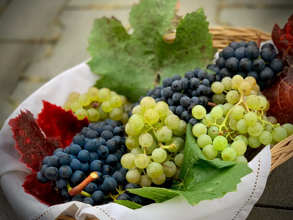 Diversity is definitely worth investigating, because the people making these unique wines are interested in the multiplicity of aromas and flavors rarely seen in this country. (Günter Hoffmann/Unsplash)