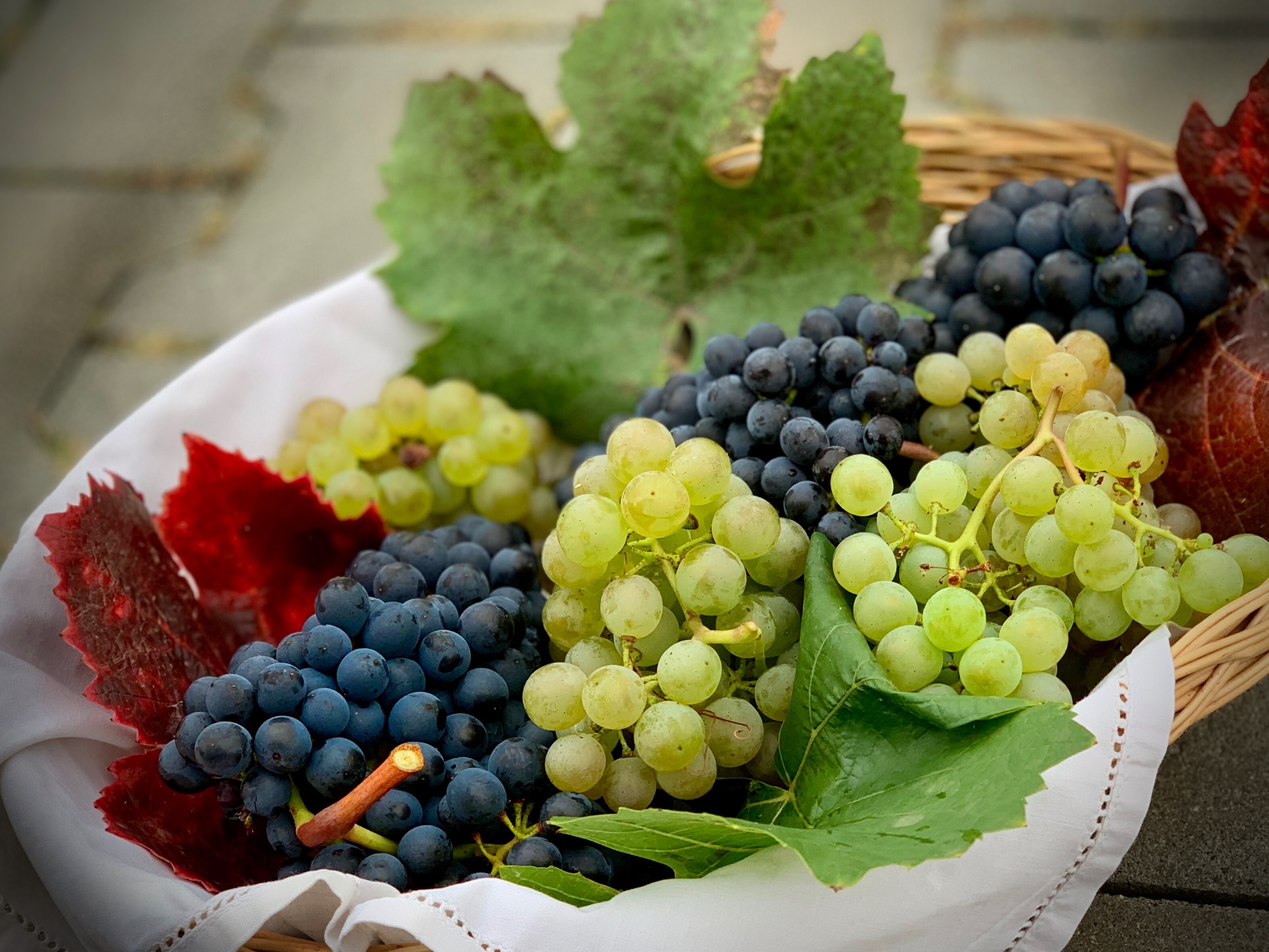 Rare Varietals - Vimarsana News