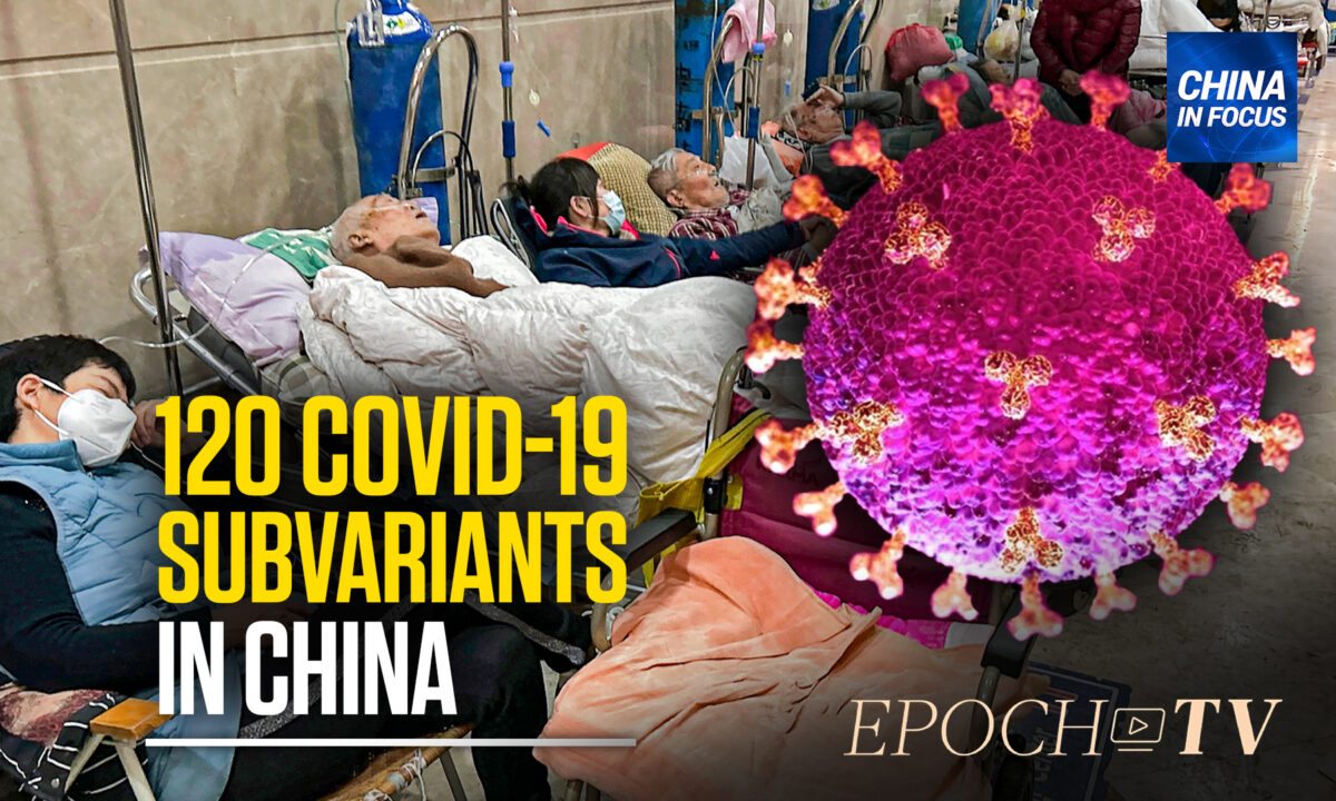 NextImg:120 Subvariants of COVID-19 Discovered in China; Next Wave in May or June: Expert