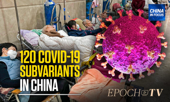 120 Subvariants of COVID-19 Discovered in China; Next Wave in May or June: Expert