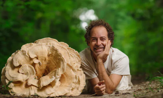 Why I Forage: Alan Muskat, the Mushroom Man