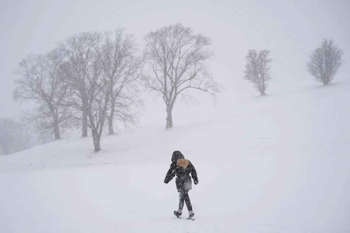 A pedestrian makes their way through a snowstorm in Halifax on Tuesday, Jan. 31, 2023. (The Canadian Press/Darren Calabrese)
