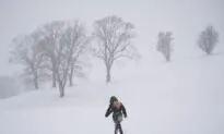 ‘Tenaciousness of Winter:’ Weather Network Forecasts a Delayed Spring