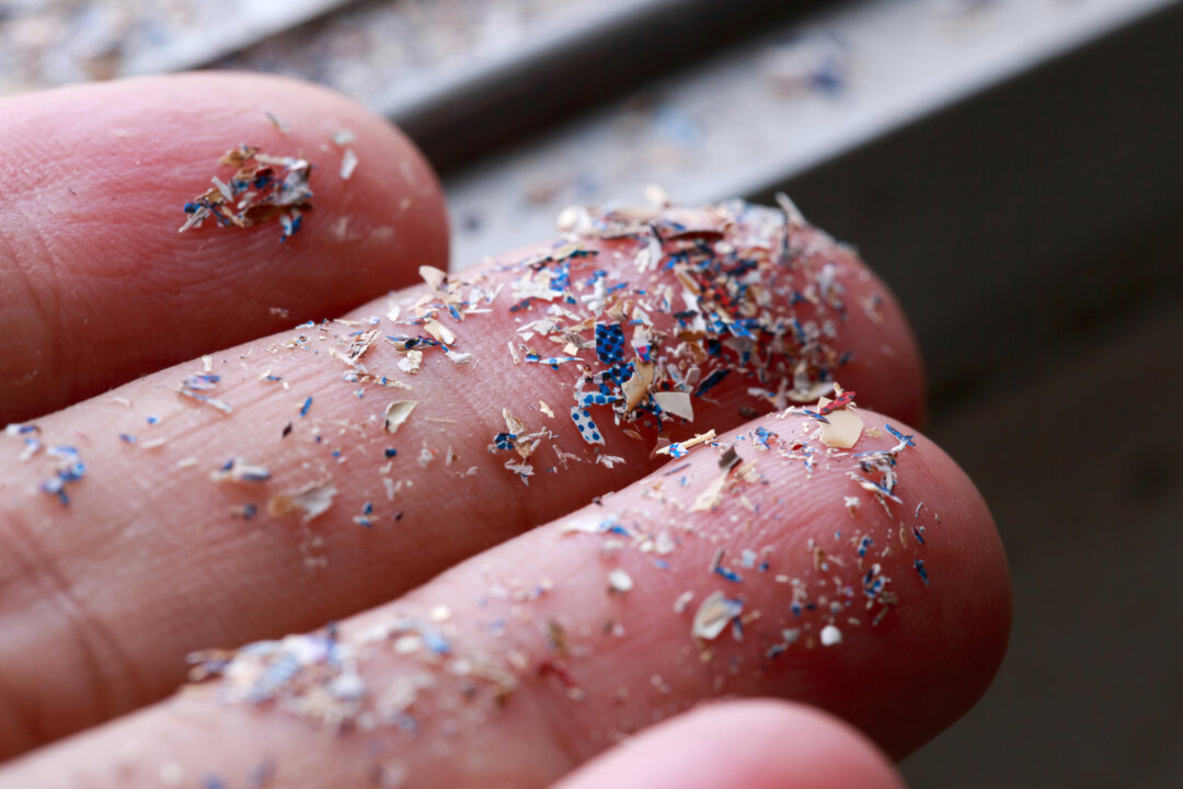 Plastics are found all around the world including on beaches. (iStock/Getty Images Plus)