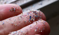 Microplastics Found in Human Testicles