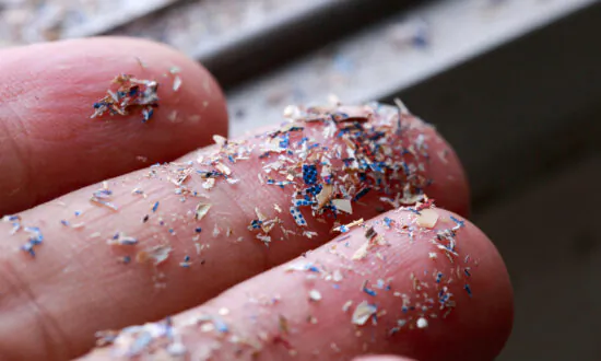 Inhaled Microplastics Could Affect Sex Hormones