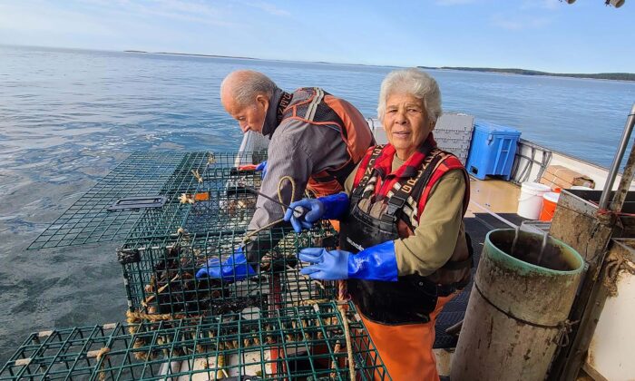 Carlton Joyce (L) and Pacita Joyce (R), parents of Maine lobsterman Jason Joyce haul in lobster traps on Joyce's boat. (Courtesy of Jason Joyce)