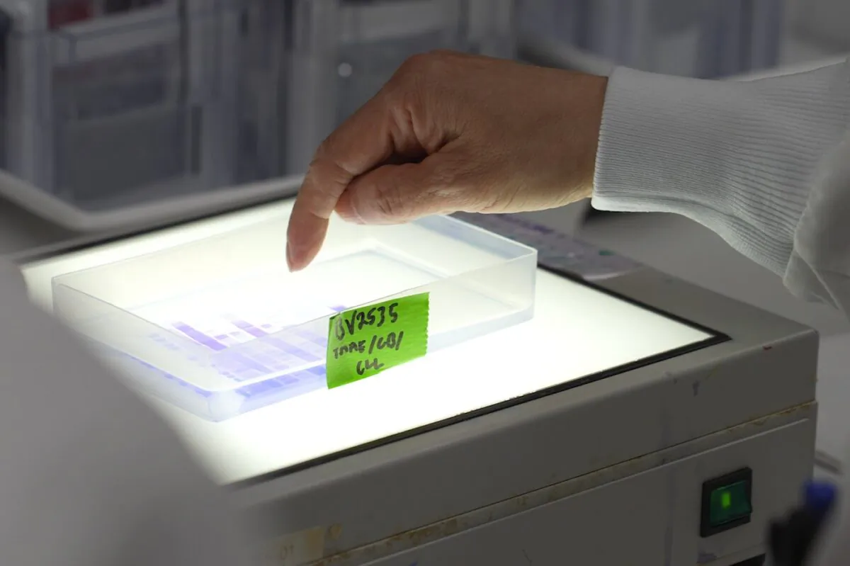 Scientists examine a step in the vaccine purification process as they design updates to the Novavax's COVID-19 shots in the company's research laboratory in Gaithersburg, Md on May 24, 2022. (The Associated Press/Angie Wang)