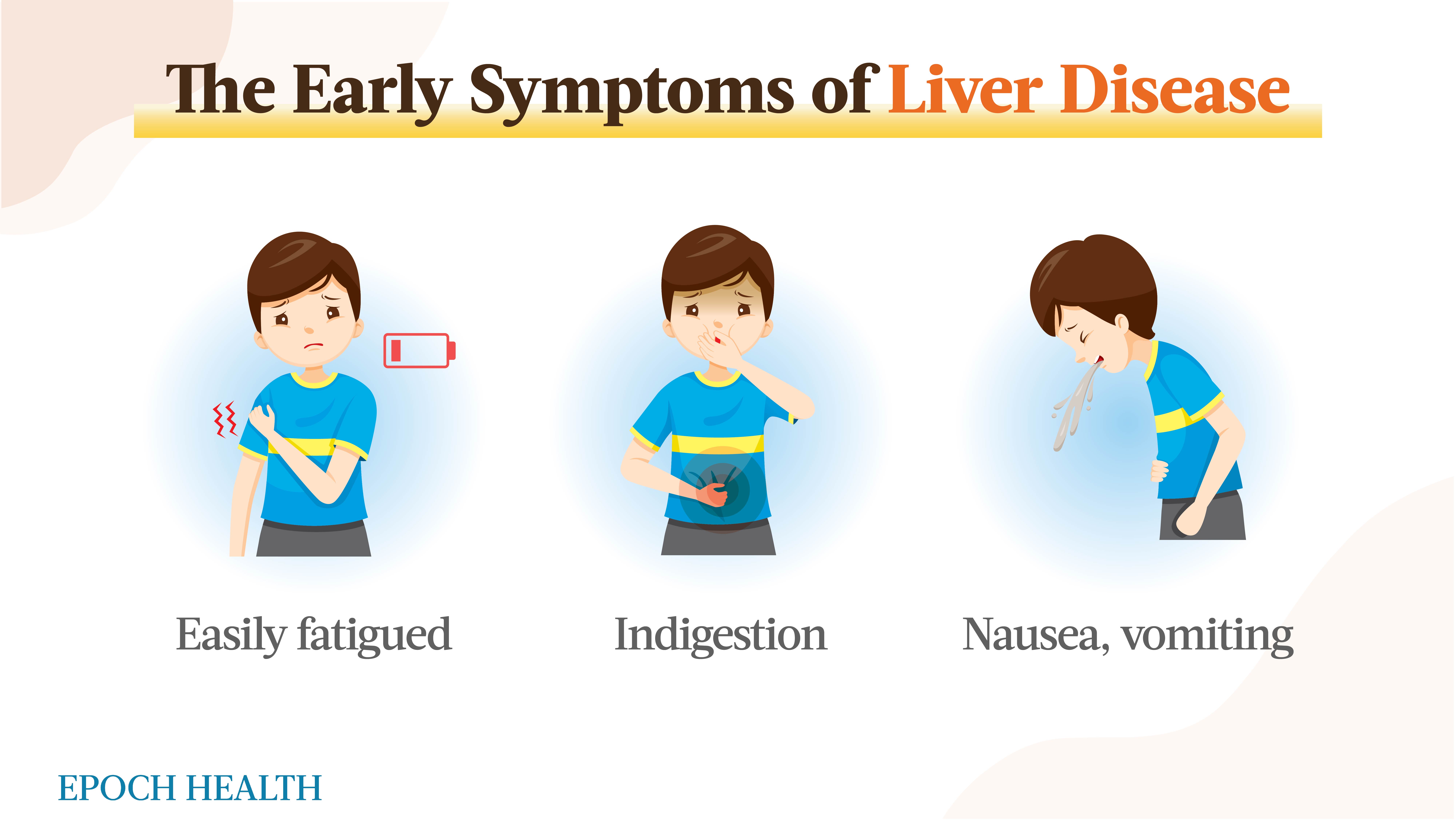 The liver is a busy organ, as described in traditional Chinese medicine, where it is believed that 'the liver is the root of fatigue.' (The Epoch Times)