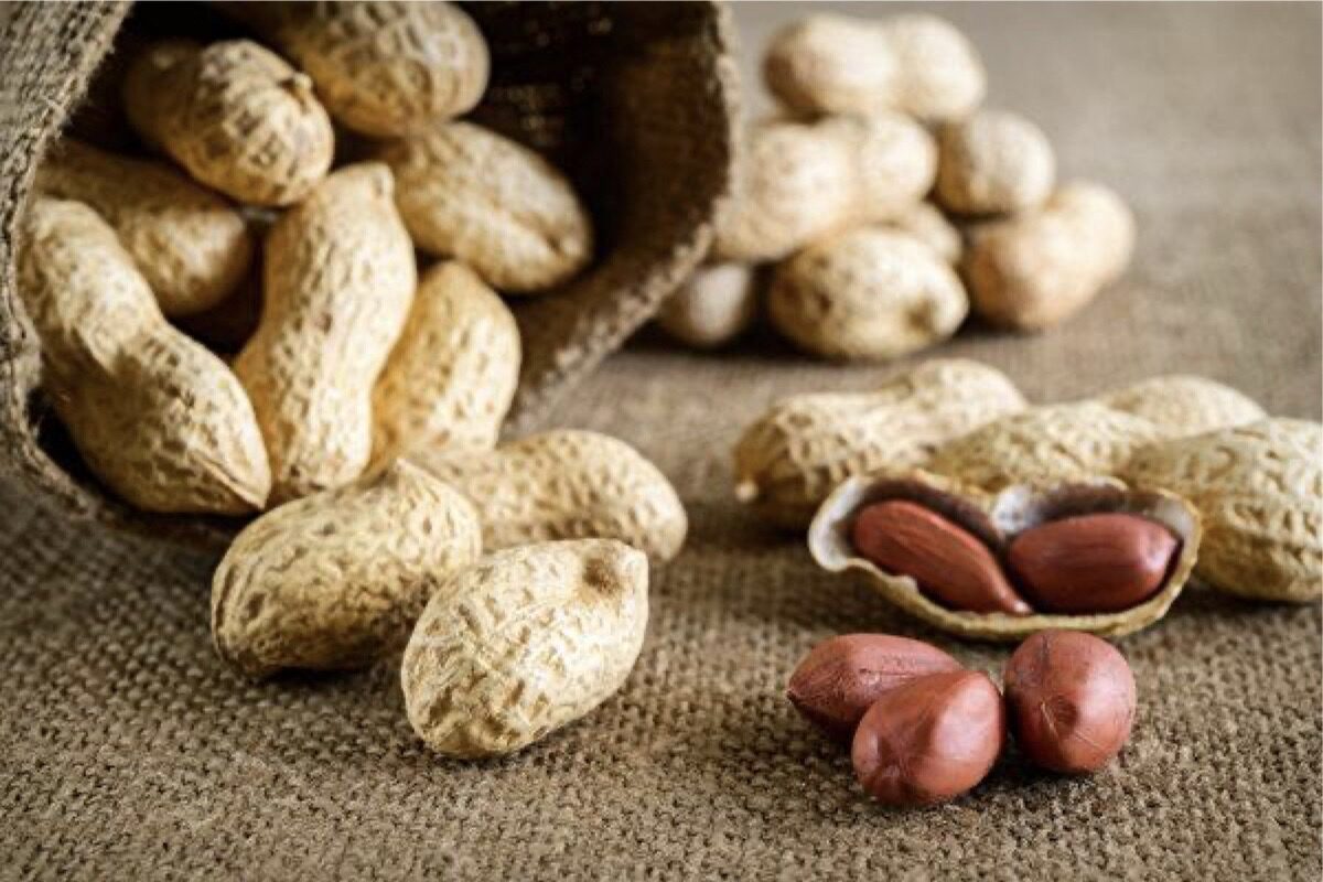 Peanuts Improve Cognitive Function and More, But Some People Should Avoid Them