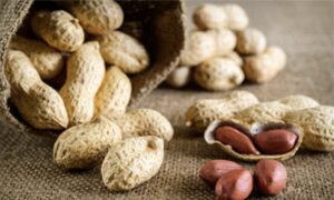 Peanuts Improve Cognitive Function and More, But Some People Should Avoid Them