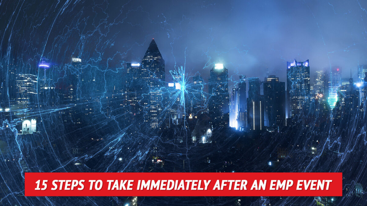 NextImg:15 Steps to Take Immediately After an EMP Event