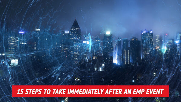 15 Steps to Take Immediately After an EMP Event