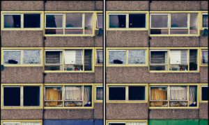 Spot the Difference Daily – Can You Find the 10 Differences?