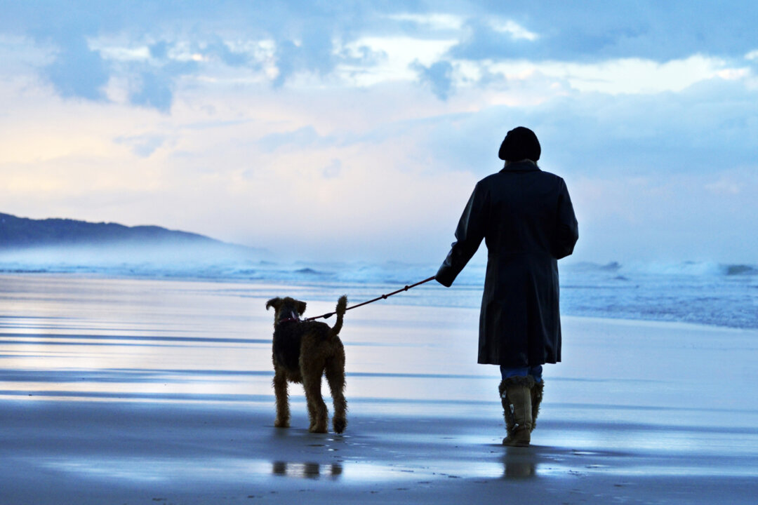 A woman and her pet dog enjoying a stunning sunset on an otherwise deserted beach on the north coast of New South Wales, Australia. (Dreamstime/TNS)