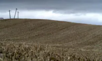 Ohio Governor Responds to Farmers’ Concerns About Soil After Toxic Train Derailment