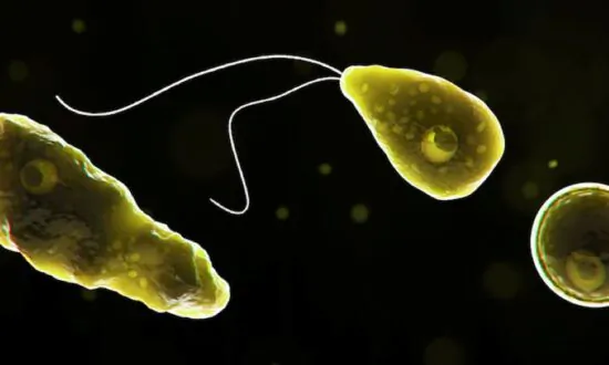 Florida Officials Issue Warning After Man Dies From Brain-Eating Amoeba