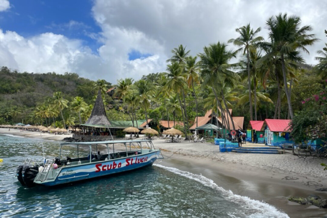 Boat and shore dives are filled with sea life and adventure at Anse Chastanet Resort’s Scuba St. Lucia. (Photo courtesy of Lesley Frederikson)