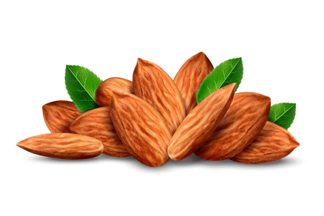 If you're obese, including almonds in your daily diet can provide even more benefits. (Shutterstock)