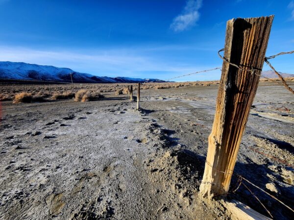 Epoch Times Photo
