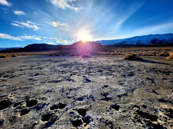Epoch Times Photo