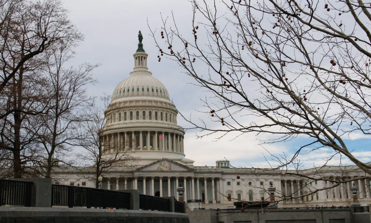 The U.S. Capitol building in Washington on Feb. 24, 2023.(Madalina Vasiliu/The Epoch Times)