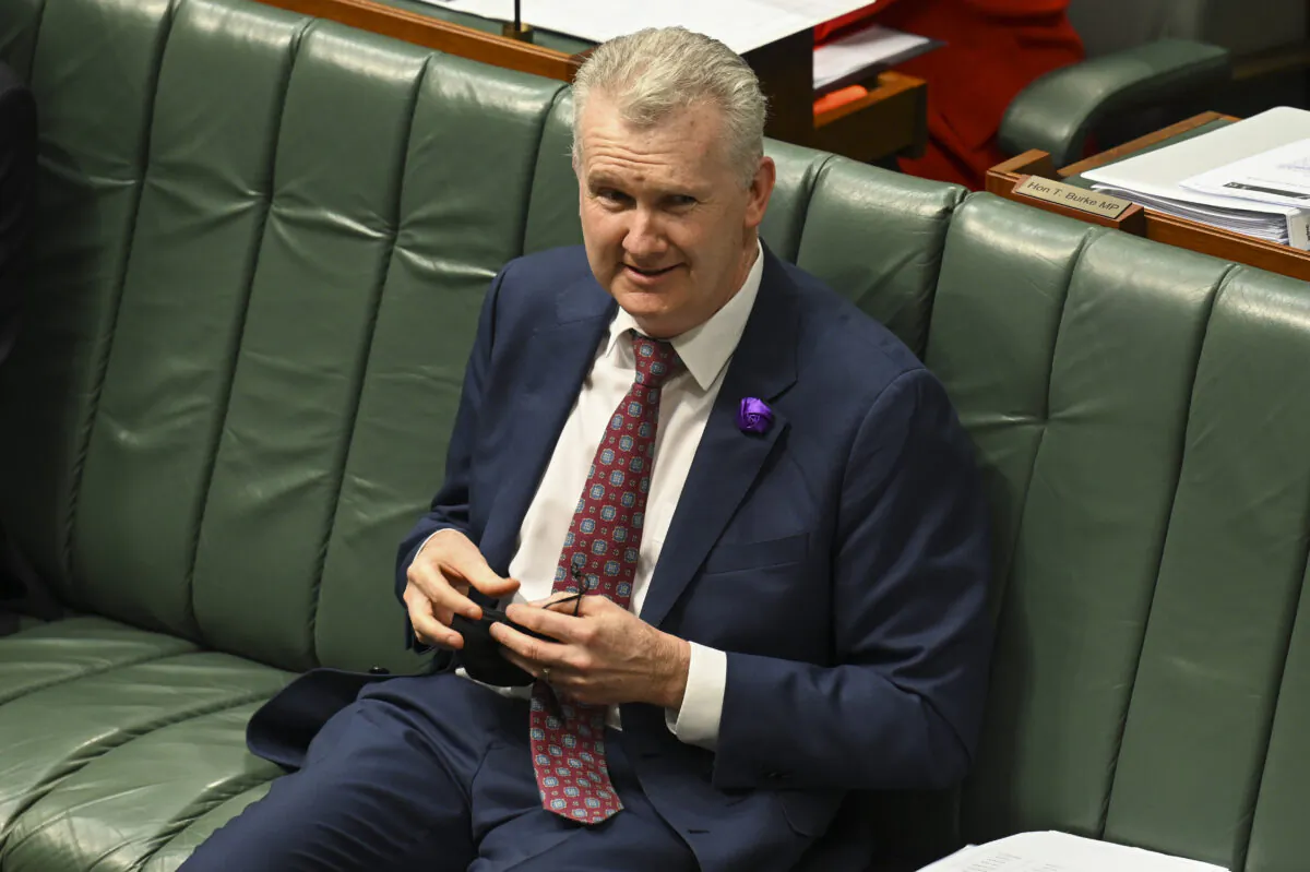 Immigration Minister Tony Burke reacts during question time at Parliament House in Canberra, Australia, on July 28, 2022. (Martin Ollman/Getty Images)
