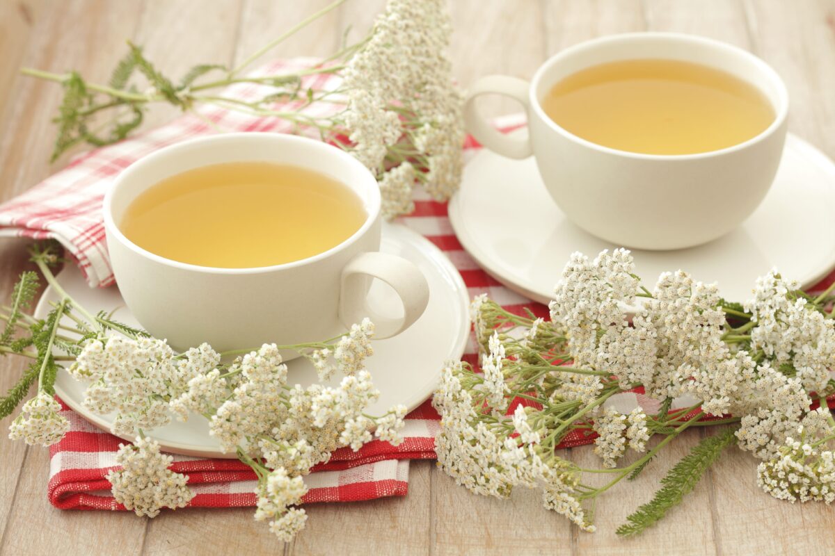 NextImg:5 Best Immune-Boosting and Antiviral Herbs to Grow at Home