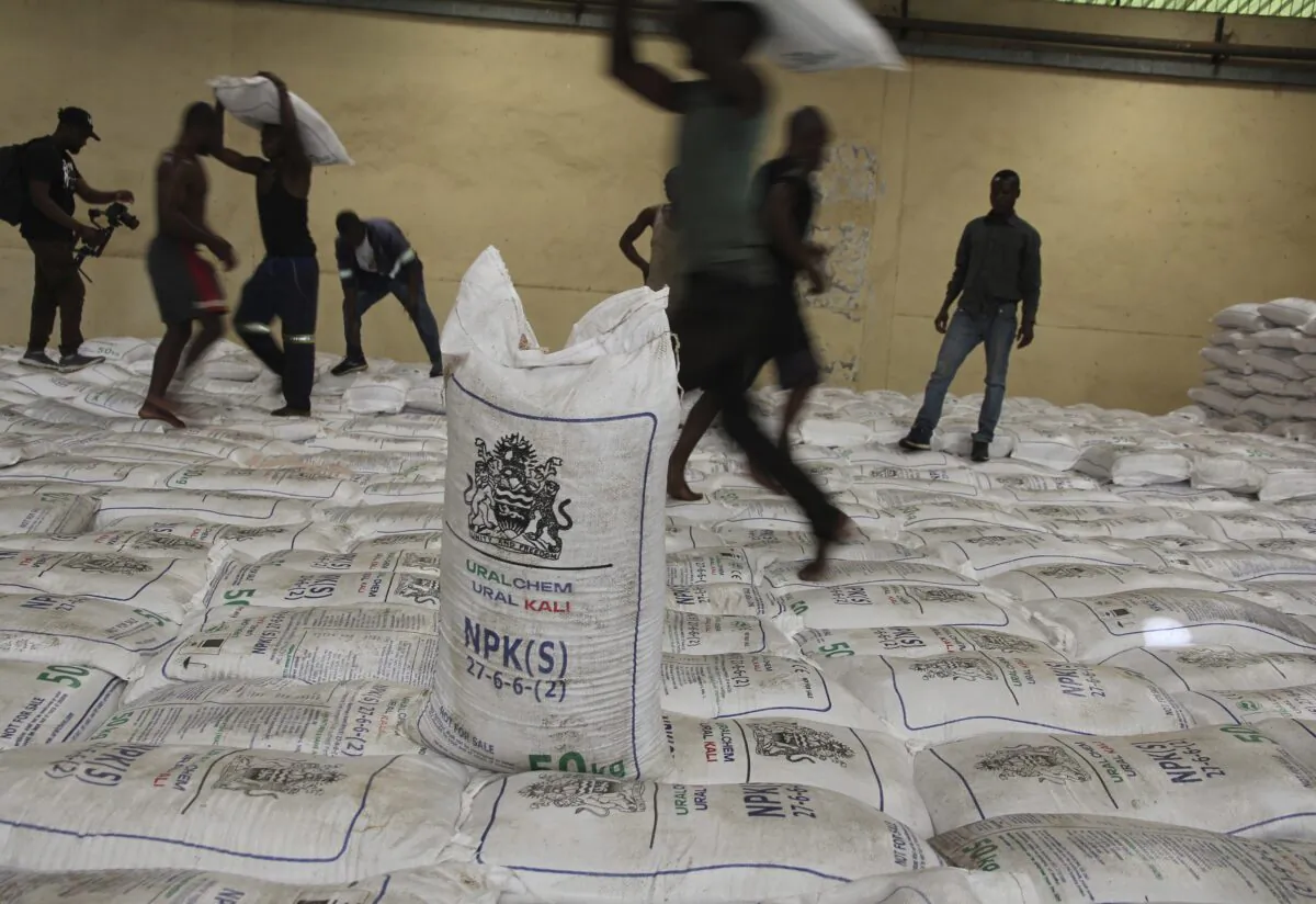 People collect bags of fertilizer in Lilongwe, Malawi, on March 6, 2023. (Gregory Gondwe/AP Photo)
